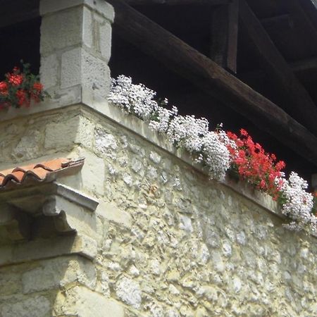 Al Mulino Bed & Breakfast Fregona Dış mekan fotoğraf