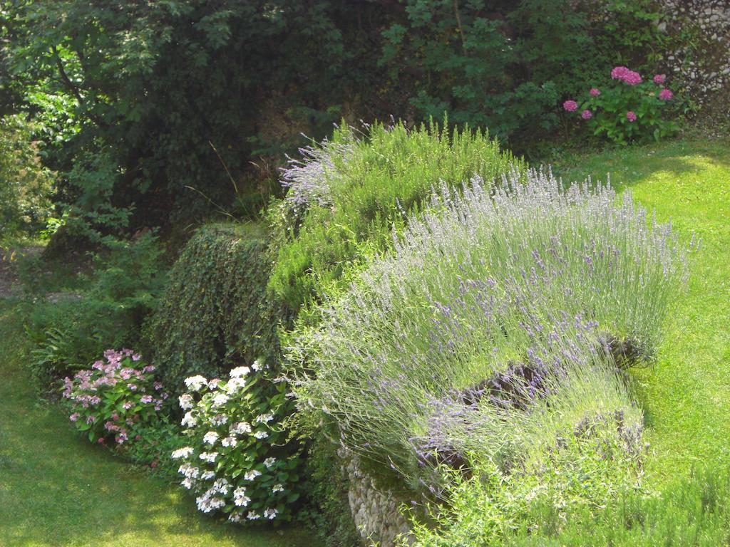 Al Mulino Bed & Breakfast Fregona Dış mekan fotoğraf