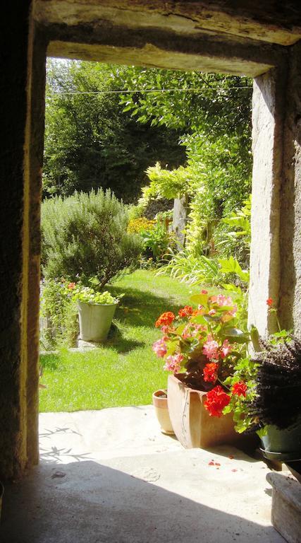 Al Mulino Bed & Breakfast Fregona Dış mekan fotoğraf