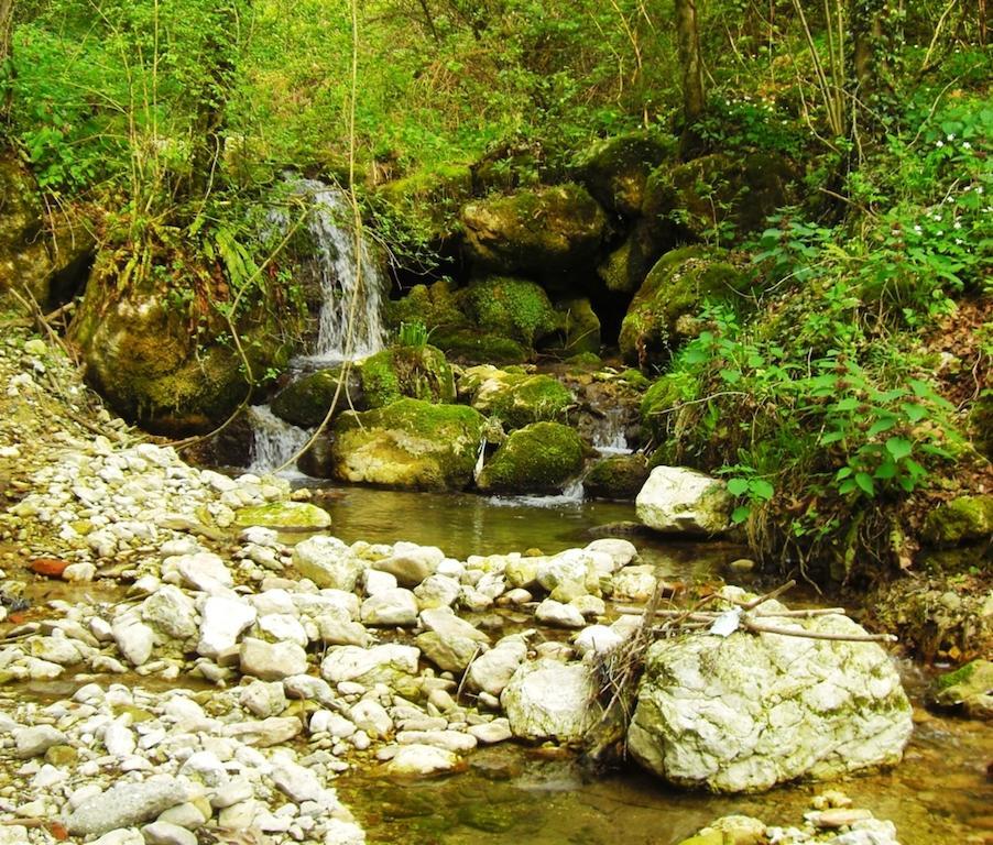 Al Mulino Bed & Breakfast Fregona Dış mekan fotoğraf